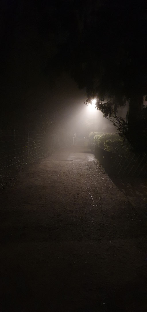 Heimweg