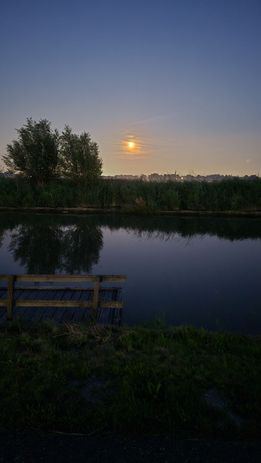 Moonlight