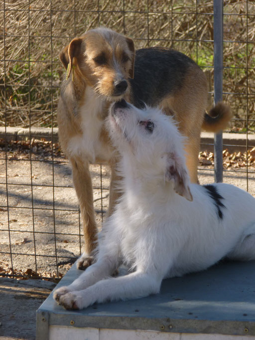 Betina und Betsy