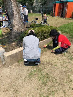 自治会の草刈りに参加させて頂きました。役員の皆様・班長さんお疲れ様でした。