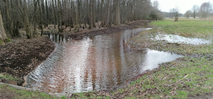 Het water verlaat het Eikenmoeras en komt bij de overloopklep terecht