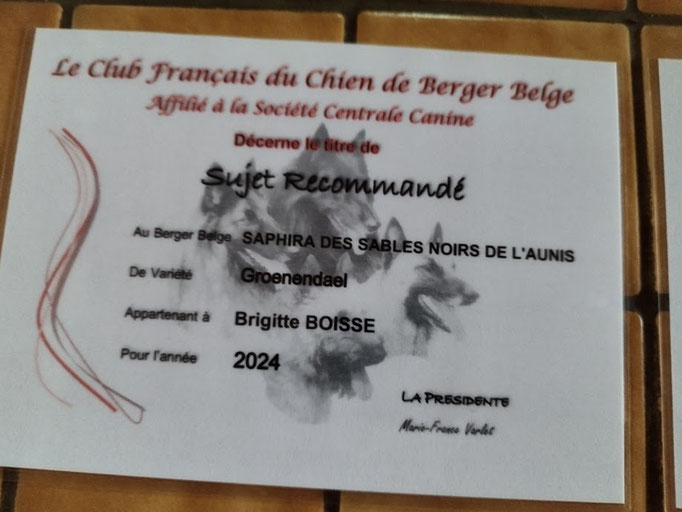 Saphira des Sables Noirs de L'Aunis