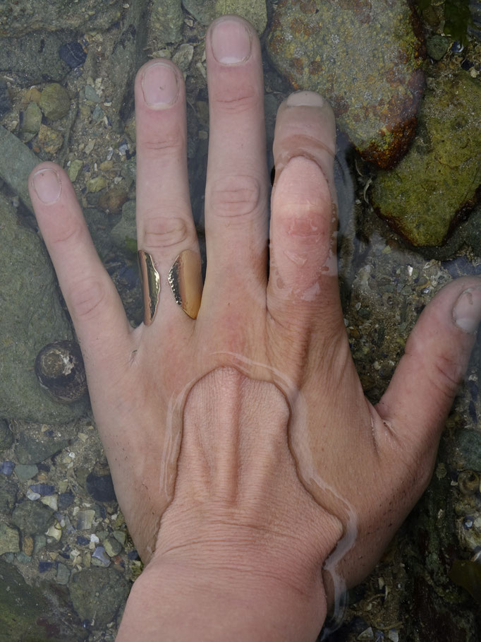 bague Nori - laiton plaqué or