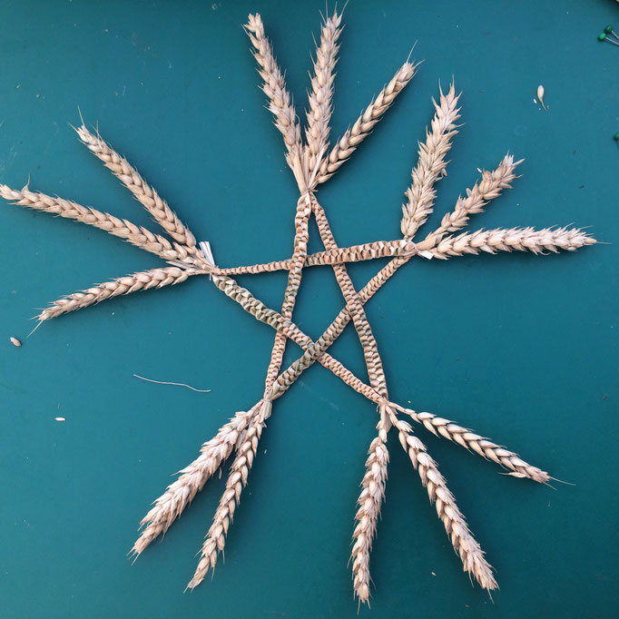 tarwe pentagram 