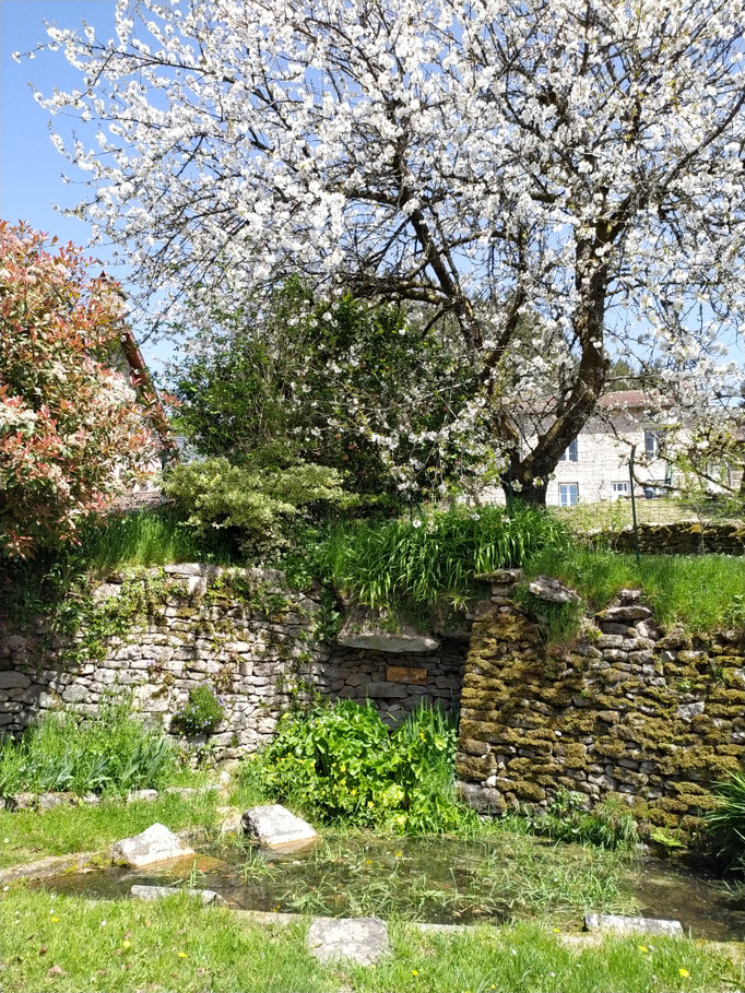 Quenouille (Peyrat-le-Château) et son ancien lavoir entouré de murets en pierre sèche