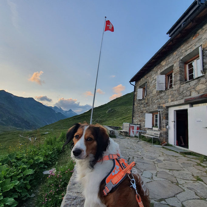 Maigelshütte