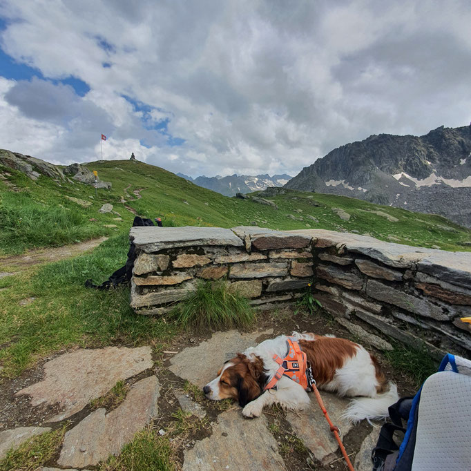 Badushütte