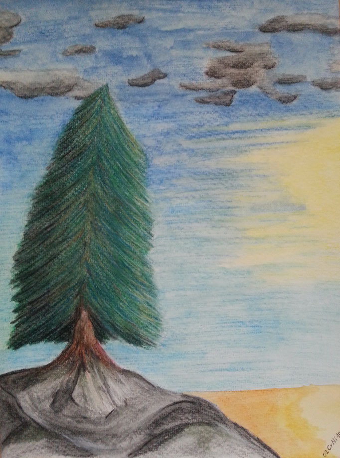 Nadelbaum