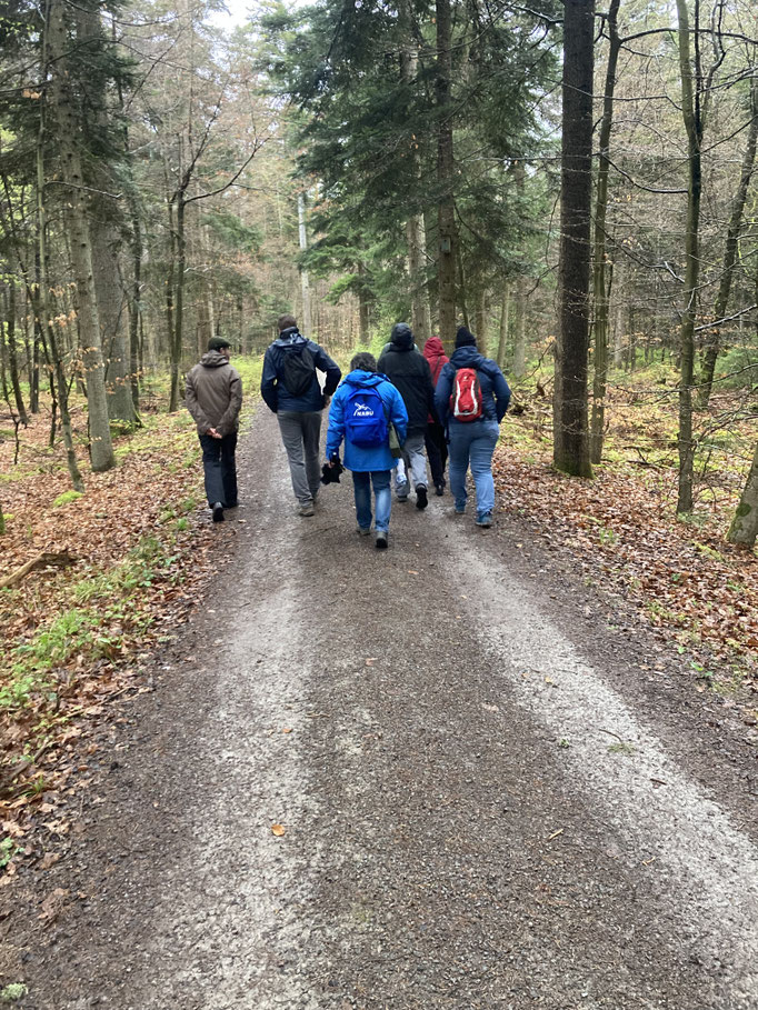 Foto: Reiner Brückner