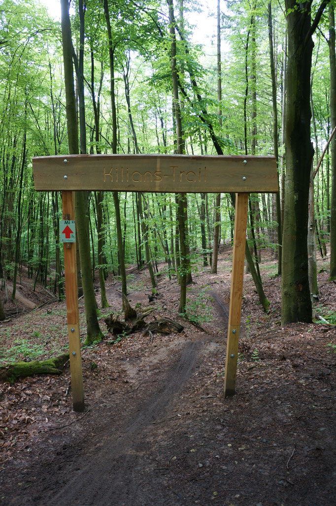 Berg- und Talbahn-Feeling bietet der kurze aber knackige Kilian-Trail