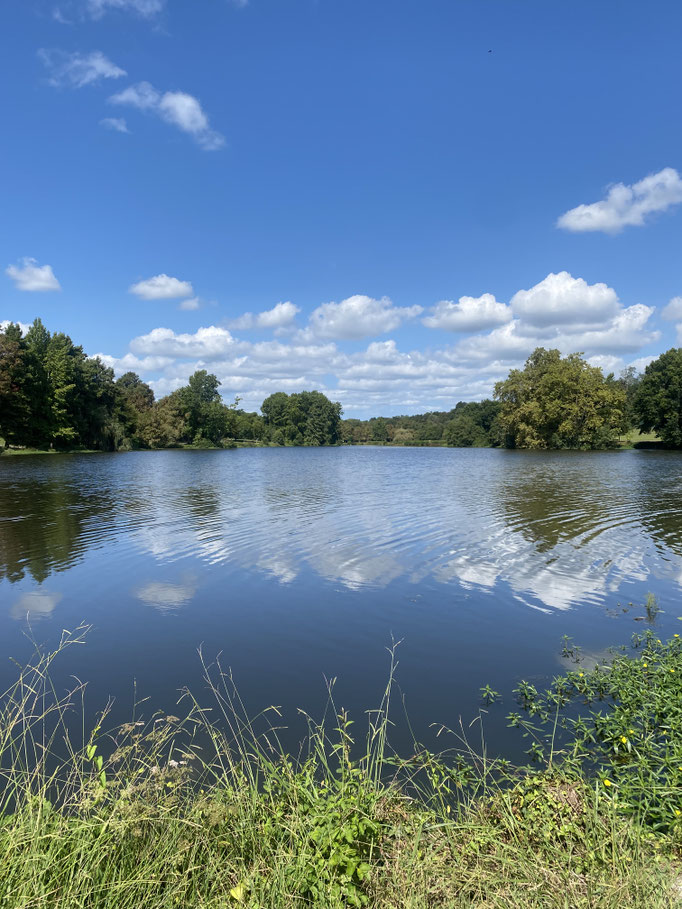Une vue sur le Lac