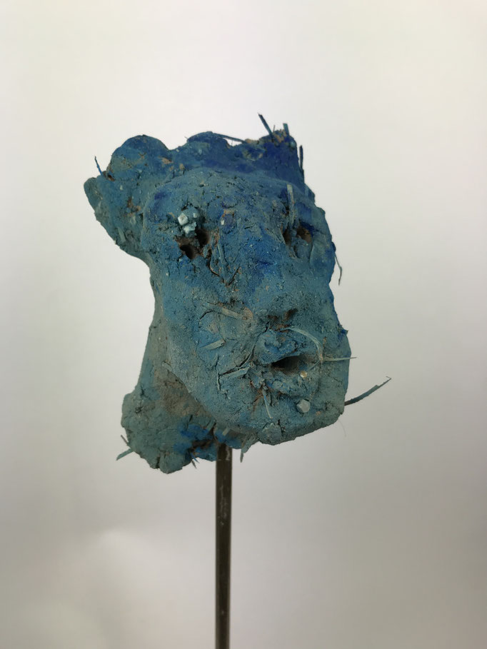 VOLTO BLU