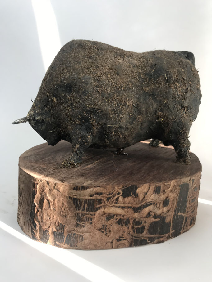 TORO DE TERA