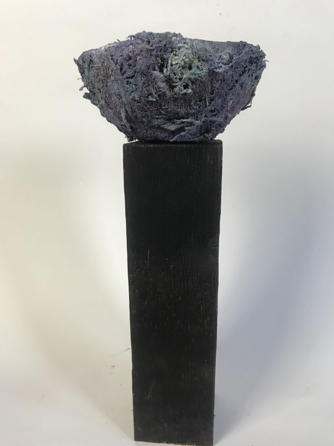 FRA LE MANI UN MARE VIOLA