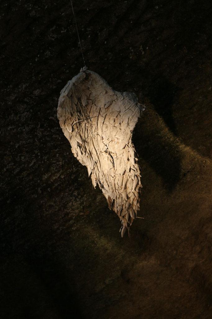L'ALA DI ICARO