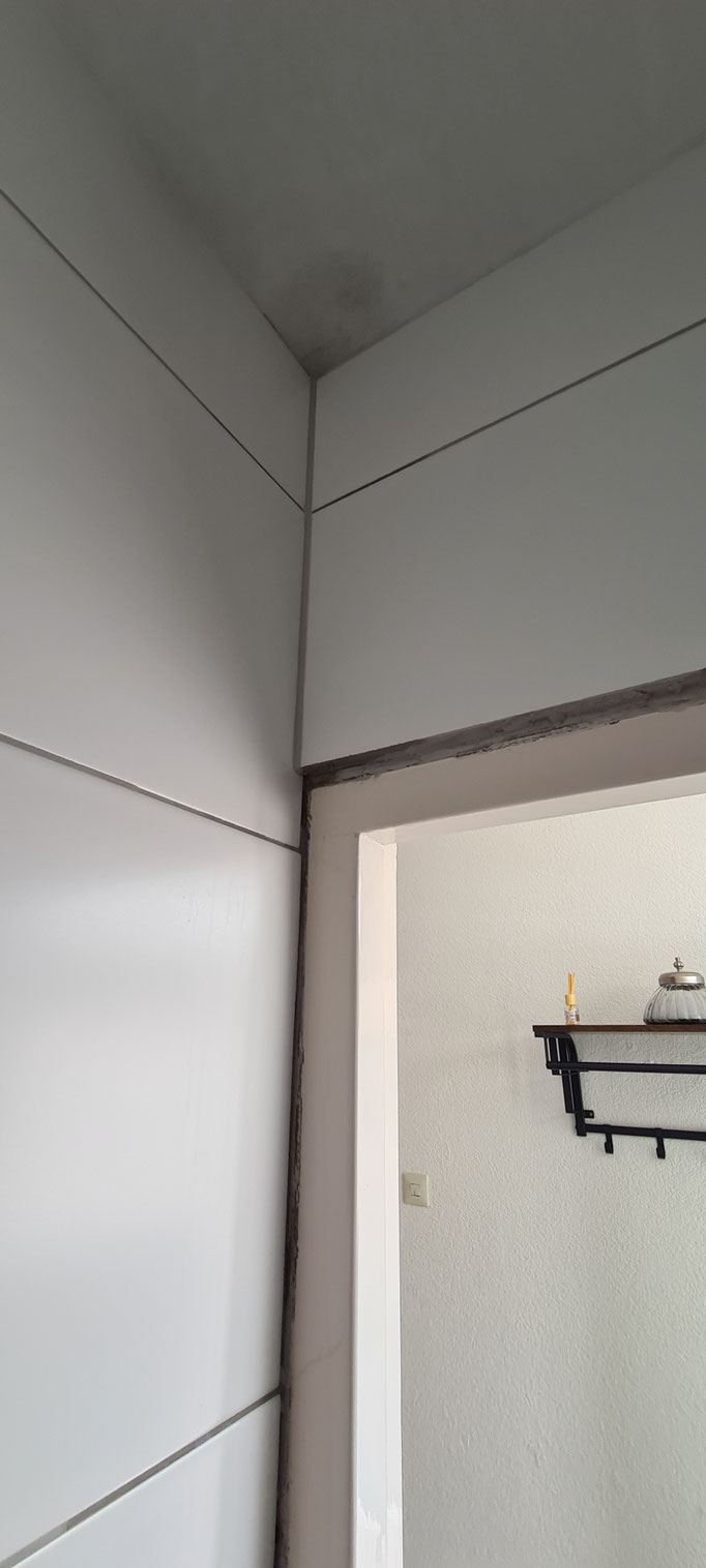 BTK Tegelzetters Venlo - tegelwerk toilet te St Odiliënberg