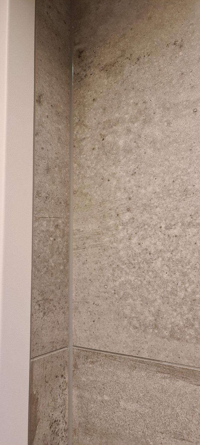 BTK Tegelzetters Venlo - toilet renovatie te Roermond
