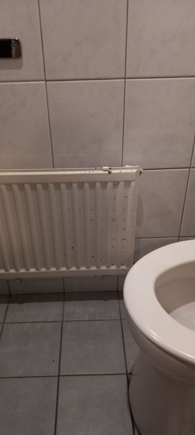 BTK Tegelzetters Venlo - renovatie toilet te Venlo - oude situatie