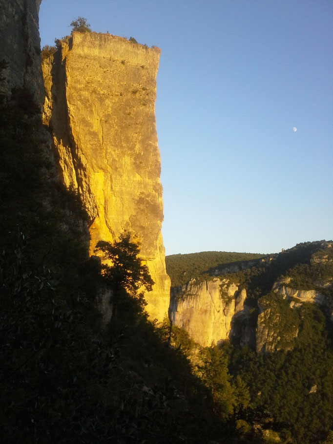 Photo 11 - la Roche Décollée - La Jonte