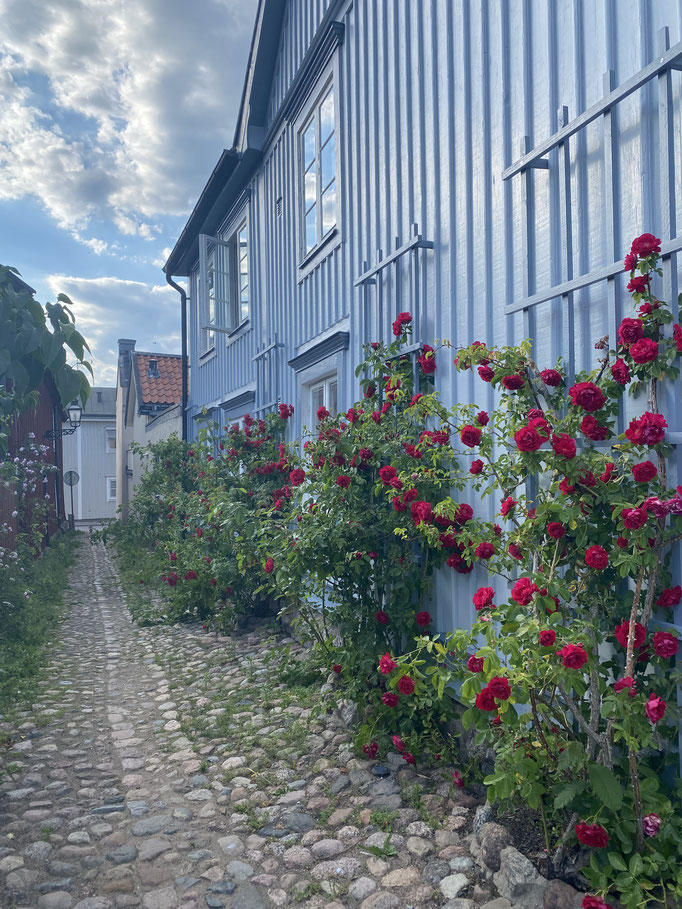 Die schönen Häuser in Vadstena.