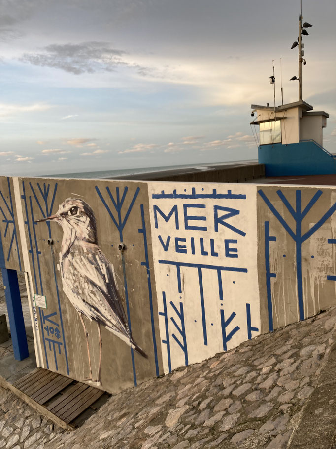 Idéalement situé à côté de Fort Mahon et Belle Dune ( Aquaclub et Golf à 5 mm )  