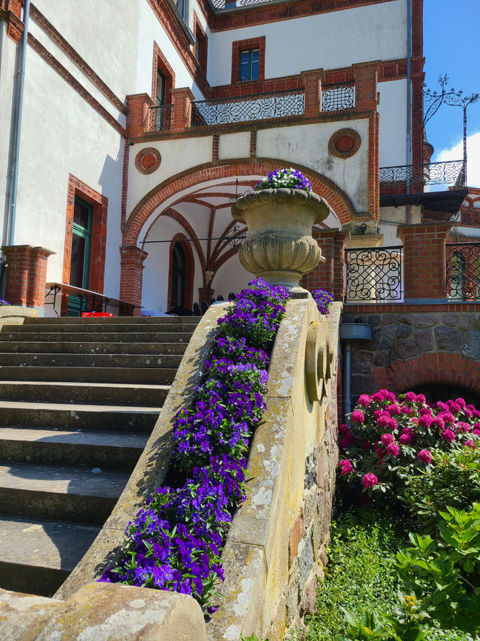 Bildungsexkursion Mecklenburg-Vorpommern 16.-18.05.25 / Schloß Willigrad / Fotografin: Bärbel Ottens