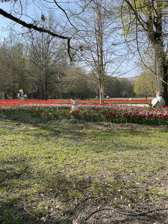 Décoration printanière dans le parc du château de Cheverny