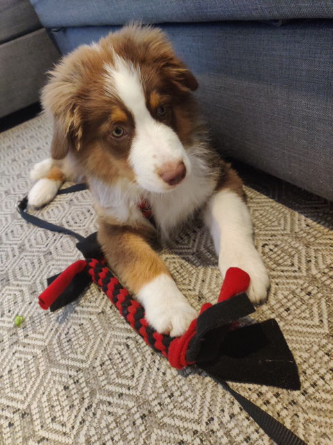 Milo