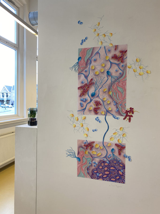 Coral Playground,2025 | ca 150x75cm | Pastel, pastelpotlood op papier