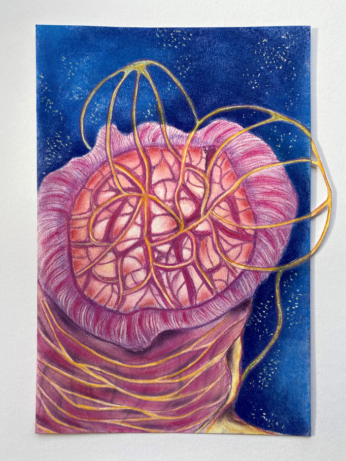 Life beyond light, deep sea close up 5, 2023 | 30x20cm | Pastel, pastelpotlood op papier 