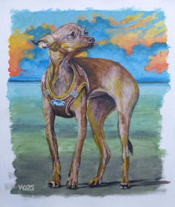 Zwergpinscher - 46 x 55 cm   Acrylfarbe auf Leinwand  120.00 €