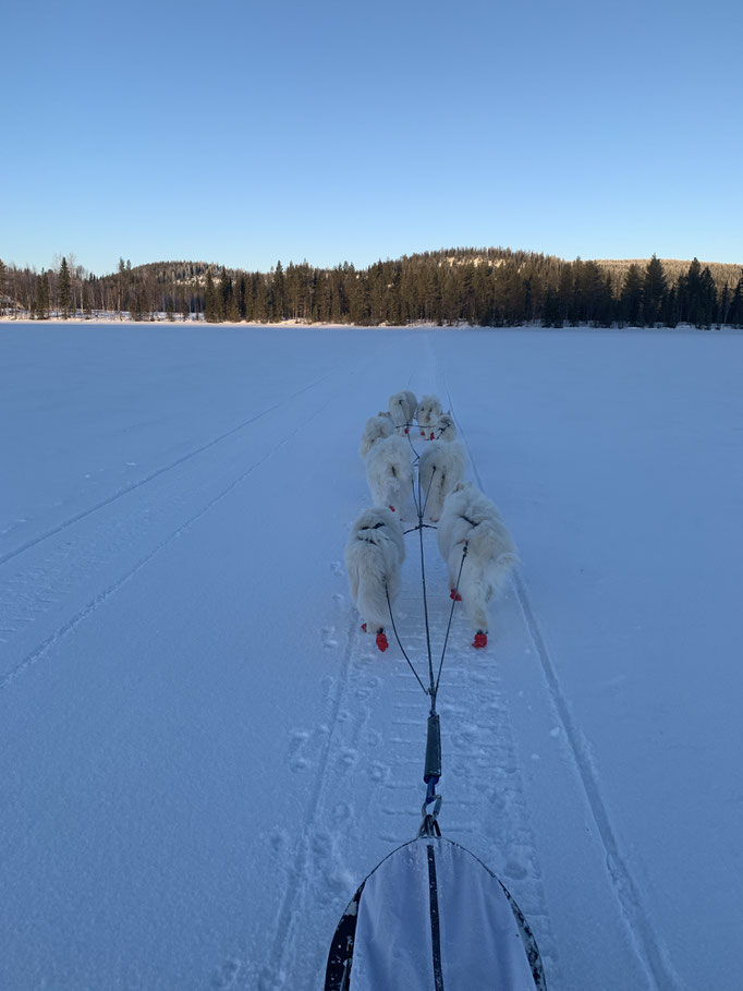 Überquerung des Bockträsks 