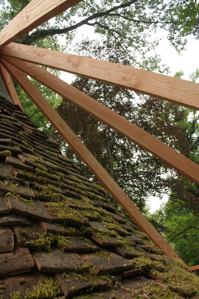 Métamorphose (Néguentropie), sculpture in-situ, bois de douglas, 650x250x250cm, 2023. "La création de cette oeuvre a été lauréate ex-aequo du Prix Jeunes Talents Côte d'Or - création contemporaine 2022, et a bénéficié d'une aide du conseil départemental  