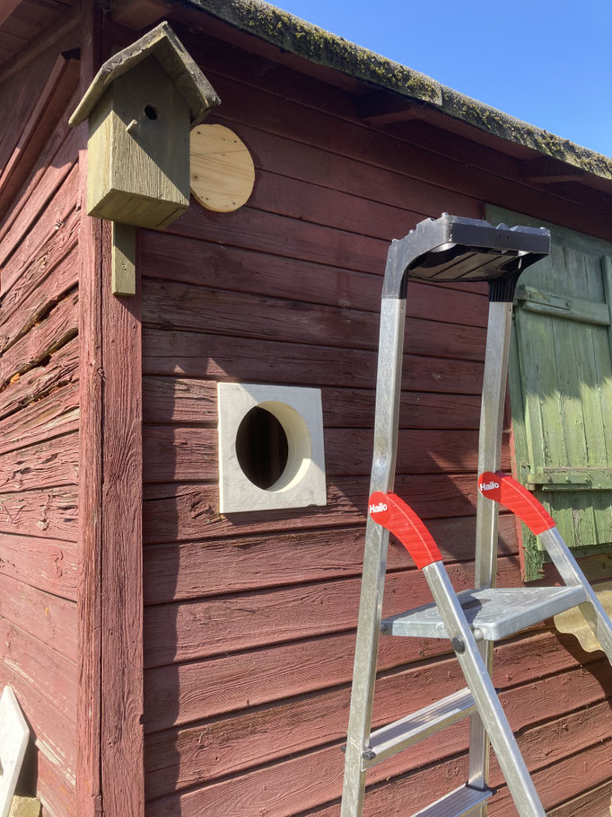 Brandwanddurchführung Holzhaus Oranienburg