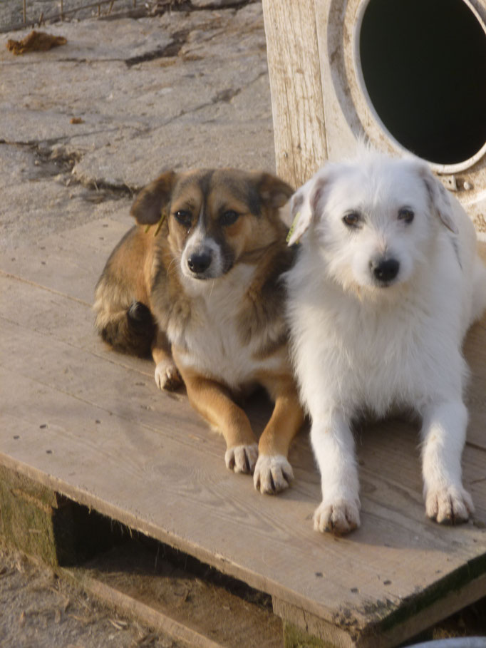 Tonya und Betsy