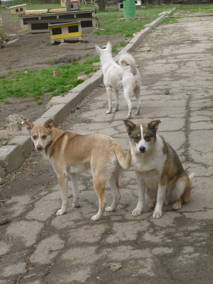 Candy und Colin im April