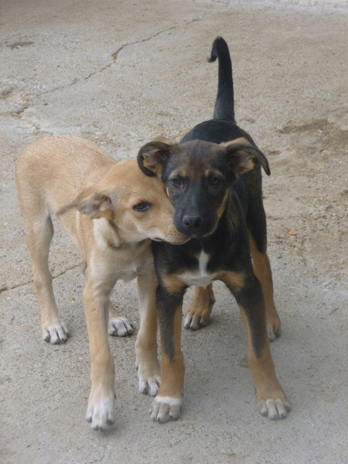 Jonny und Basti