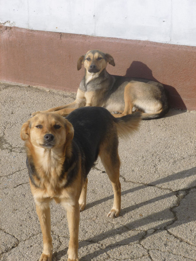 mit ihrer Schwester Valery (rechts im Bild)