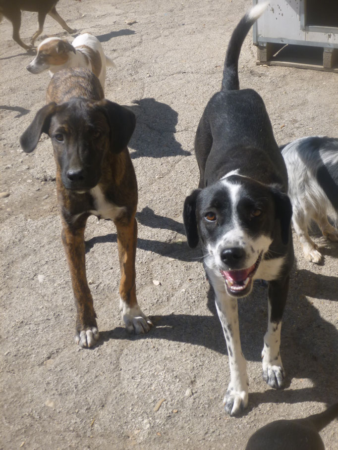 Boris und July
