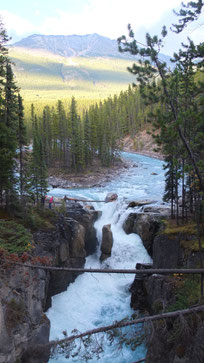 Sunwapta Falls