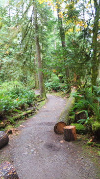 Trail zu den Skookumchuck Narrows