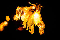 Wildlicht - 2017