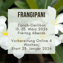 Meditation in Motion. Einfache geführte Meditation für Anfänger, Meditationstipps, Entspannung, Achtsamkeit, Meditation Online-Kurs, Meditationskurs in Zürich Oerlikon. Meditationsausbildung und Meditationslehrer Ausbildung in Zürich Oerlikon und Flims.