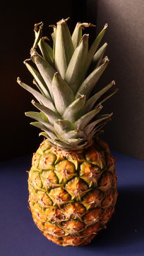 パイナップル、果物、フルーツ、ダイエット、お菓子、おやつ、料理、食べ物の写真フリー素材　Pineapple, Fruits, Fruits, Diet, Sweets, Snacks, Cooking, Food Photos Free Material