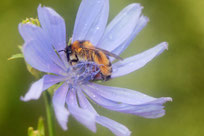 Foto: Helge May