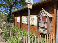 Im Naturgarten können sich Naturinteressierte Anregungen holen (Foto: NABU).