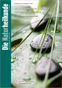 meta im Dialog, Metamorphose: Aus metasolidago wird metasolitharis
