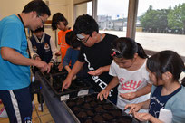 種を植える南部小学校の児童たち