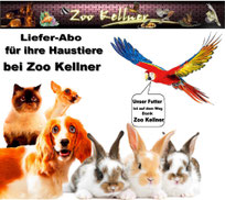 Lieferabo bei Zoo Kellner