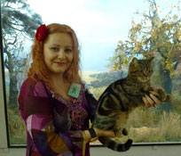 Voloshka cat, Шотландская мраморная (полосатая) кошечка, Чемпион!
